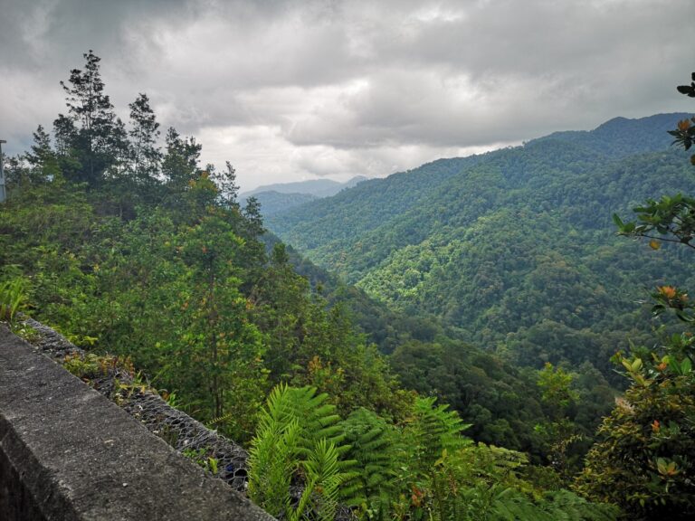 Discover the best of the Malaysian Highlands with kids!