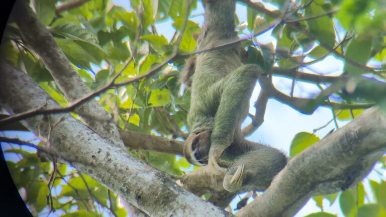 Visiting Manuel Antonio with kids: Your Complete Guide