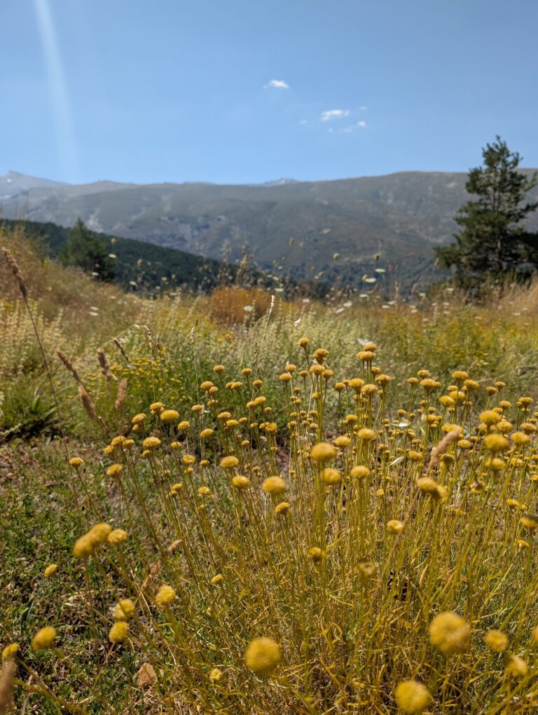 Family Adventures All Year: Your Complete 2026 Travel Inspiration