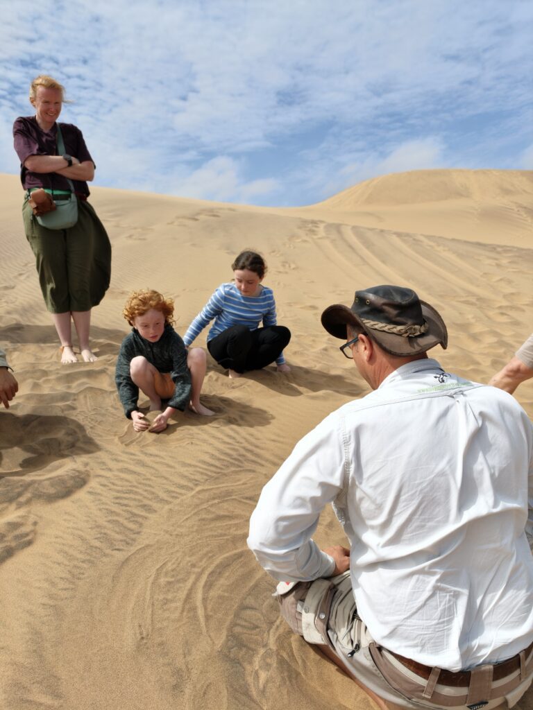 tommys living desert tour