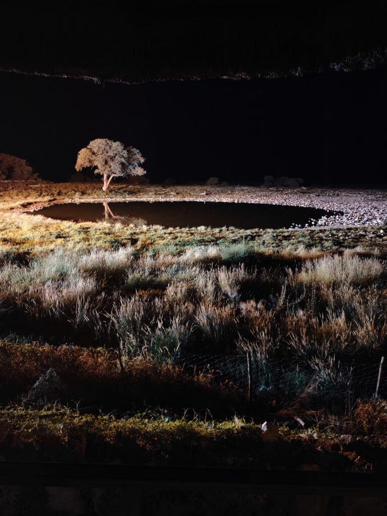 accommodation in namibia