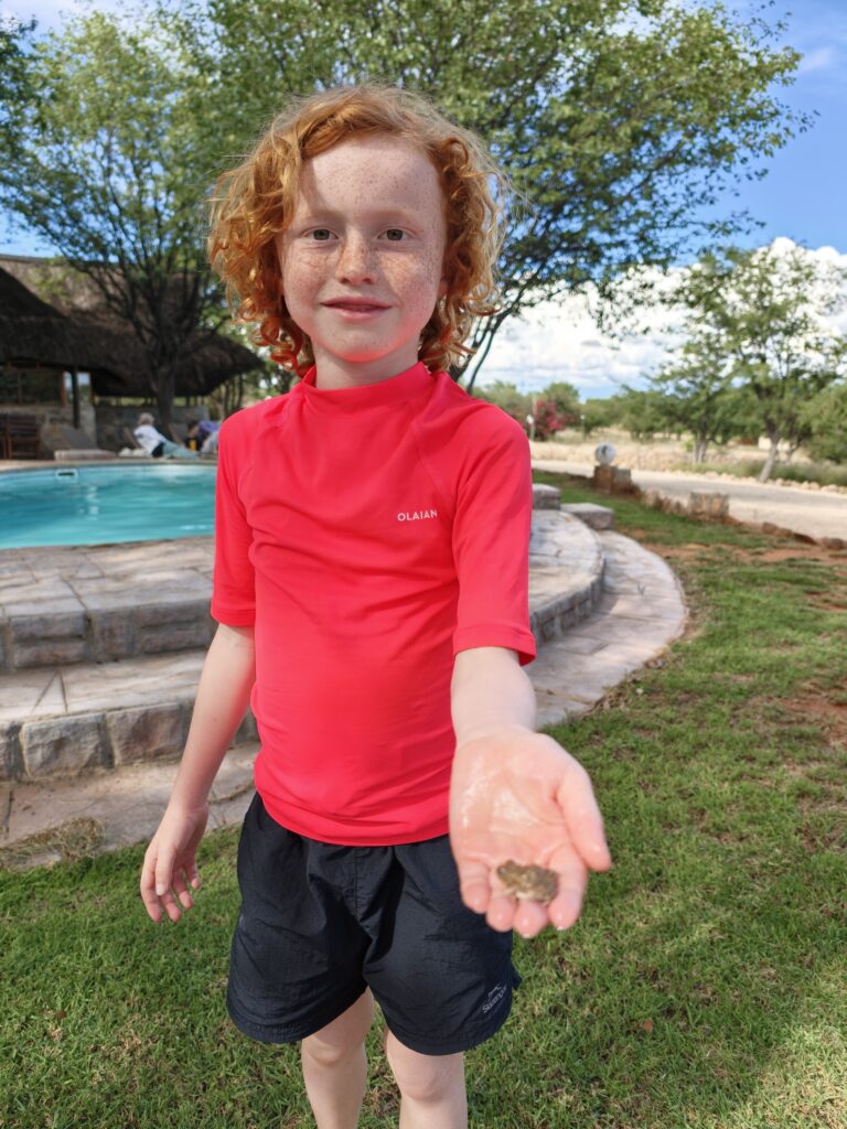 sophienhof accommodation