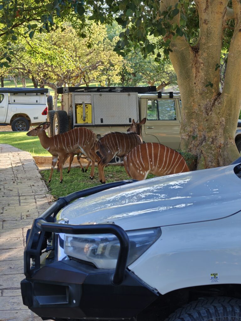 sophienhof accommodation