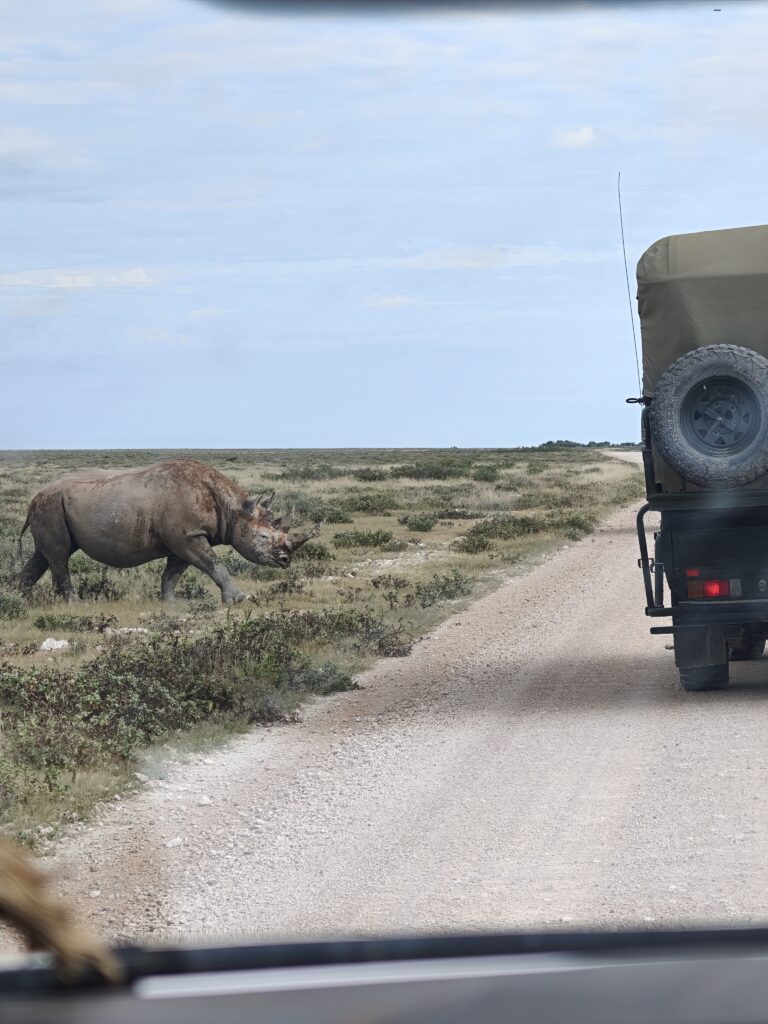 etosha national park with kids