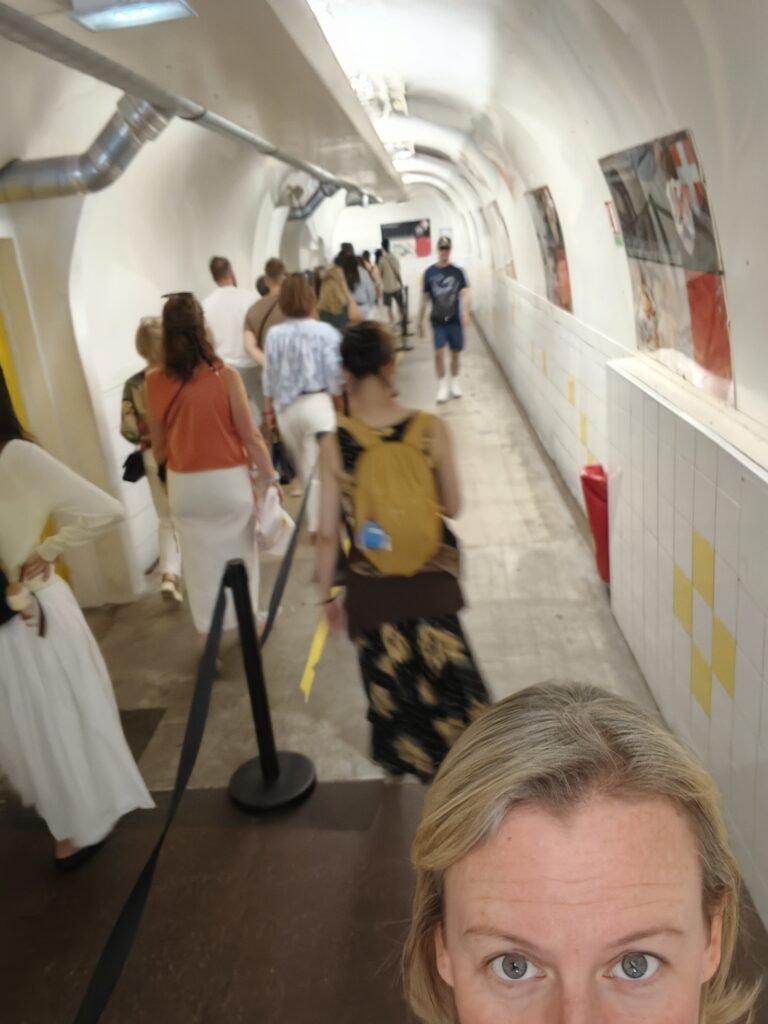 The queue for the Castle Hill elevator